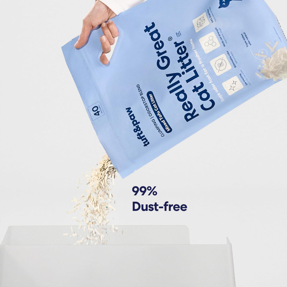 Tuft & Paw OdorStop flushable litter scene illustrates simple scoop and flush routine.