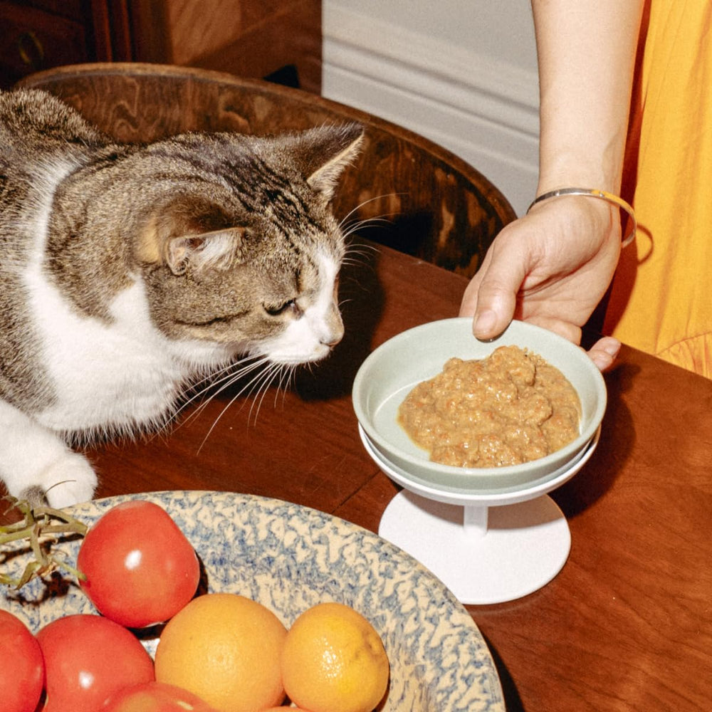 TUFT + PAW packaging emphasizes grain-free and gluten-free formula