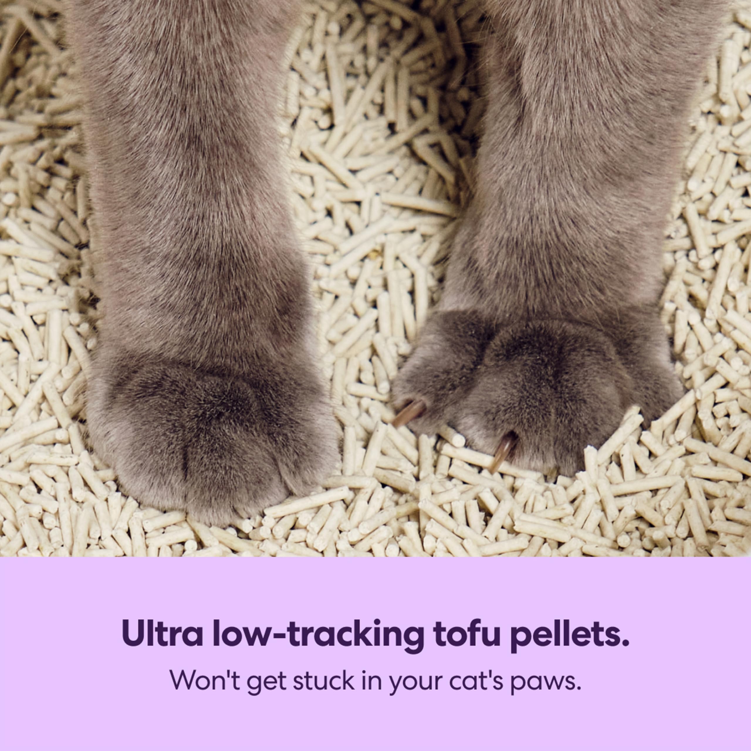 Tuft & Paw tofu cat litter ingredient close-up showing absorbency