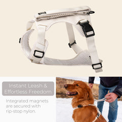 TUG Grab Dog Harness padded traffic leash for comfortable handling