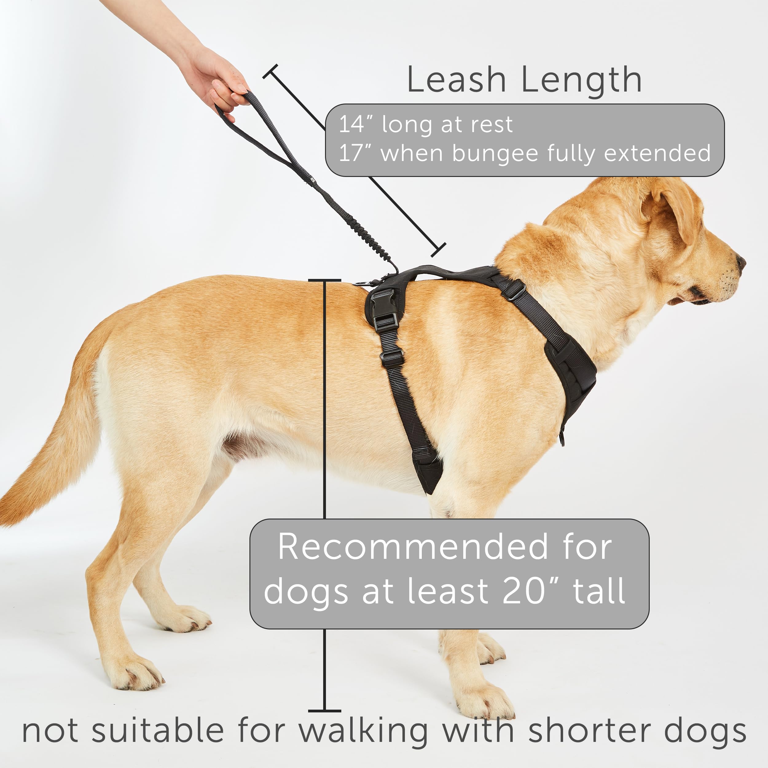 TUG Grab Dog Harness size chart to help select the right size
