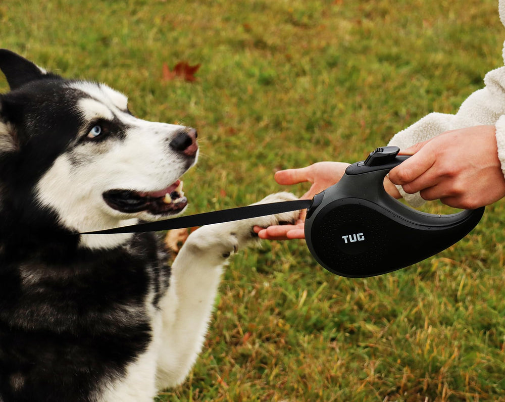 TUG heavy-duty coil supports consistent retraction during daily dog walks.