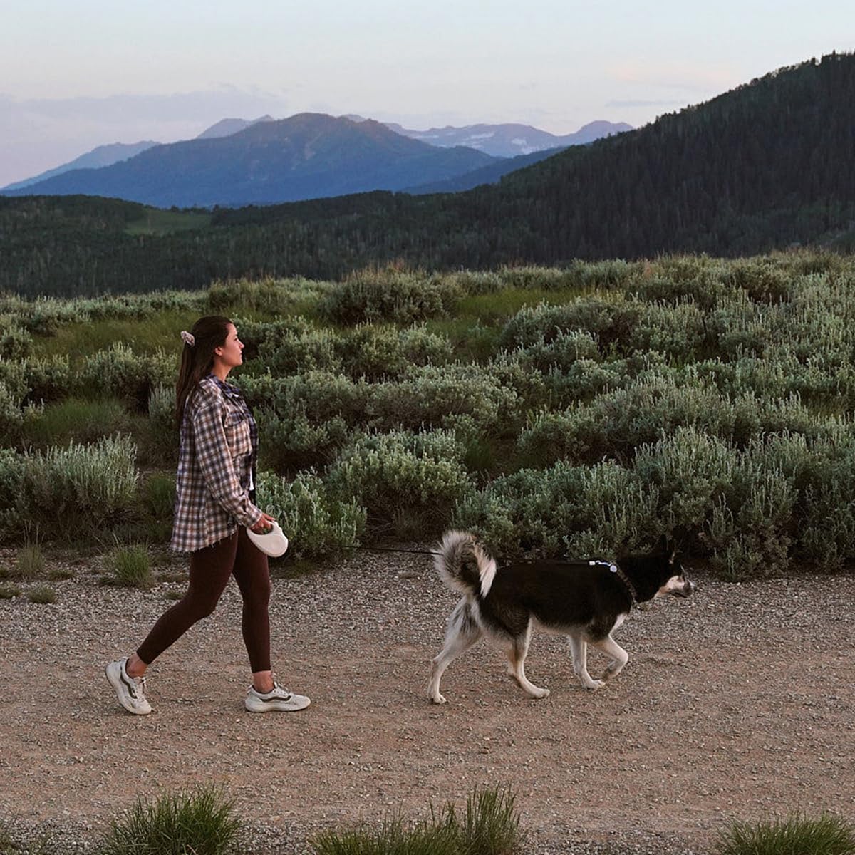 TUG Oval 16-foot tape leash extends reach with quick, quiet retraction.