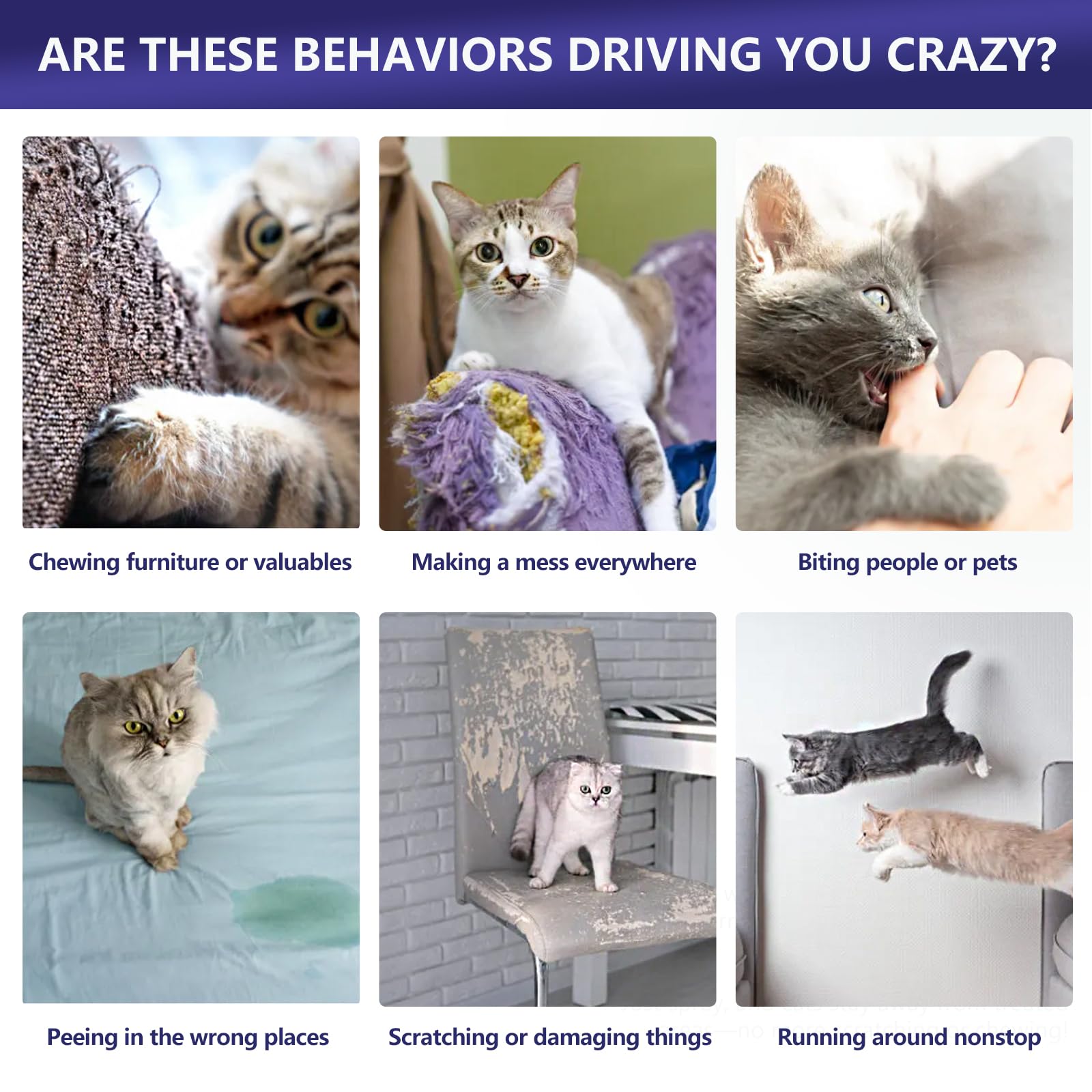 Regular use supports boundary learning to reduce unwanted behaviors near treated areas.