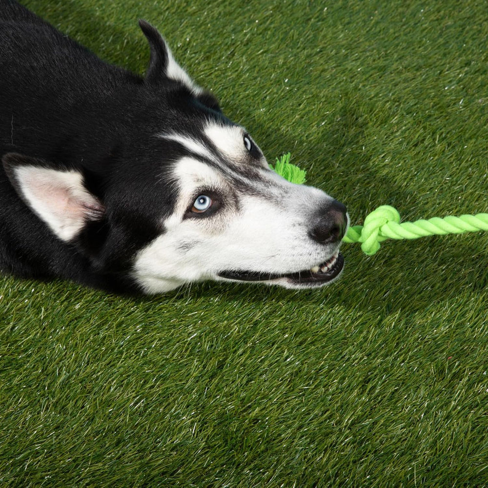 Large handle on Tumbo Tough Tug Rope Dog Toy improves tug control.