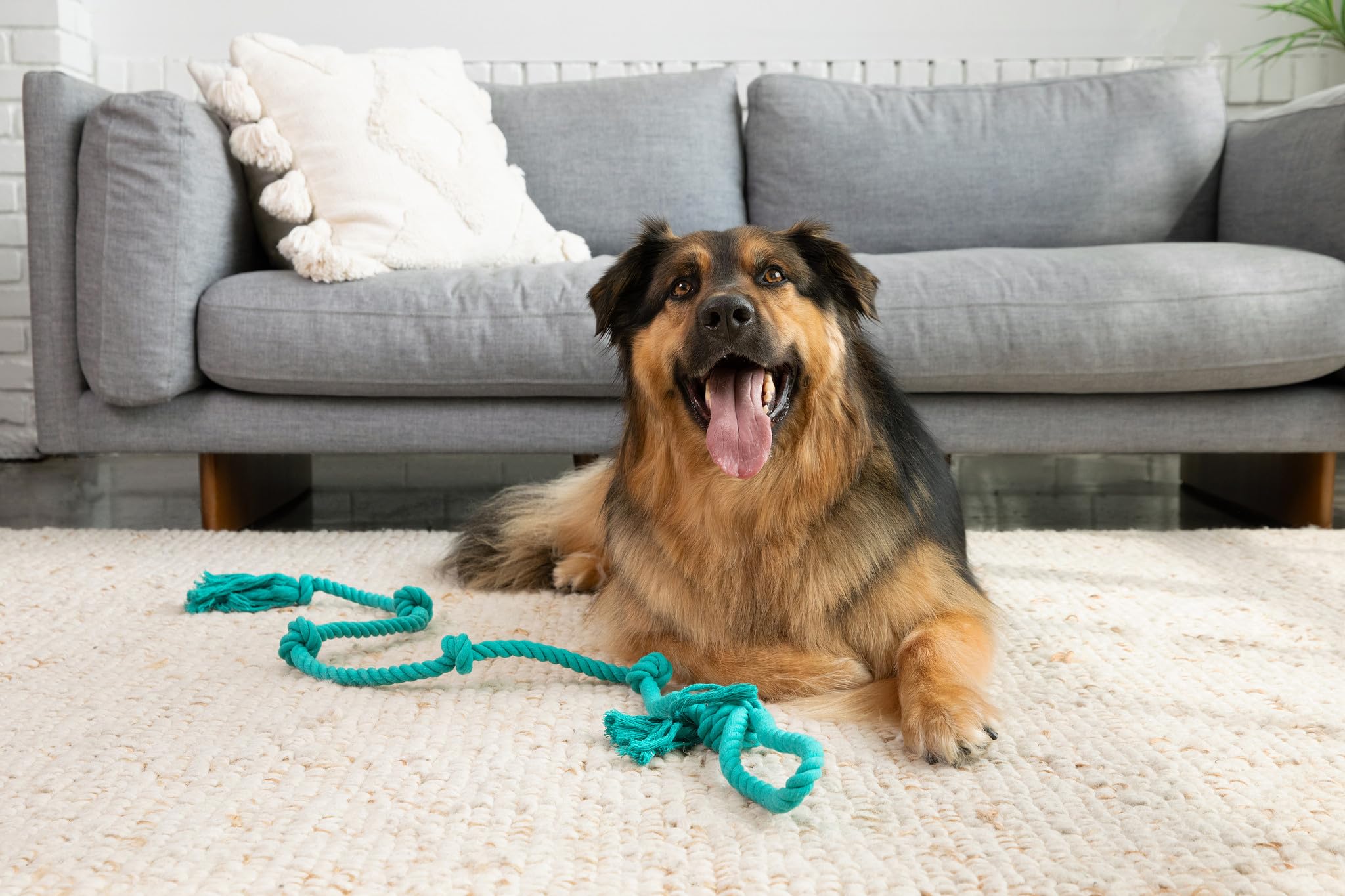 Tumbo Tough Tug Rope Dog Toy stands up during vigorous play sessions.