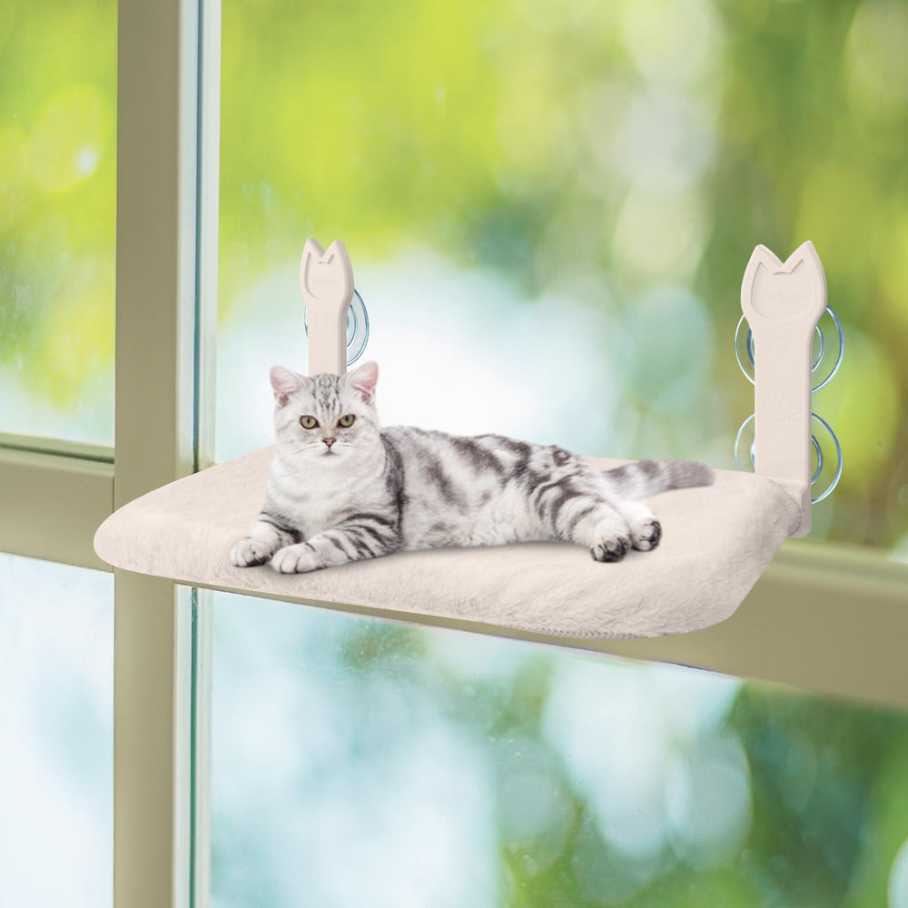 Turbosus two-pack kit lets you perch on multiple windows.