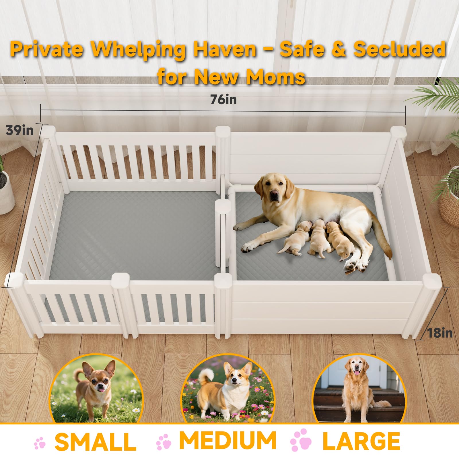 Tuxun whelping box dual-room design for dam and puppies