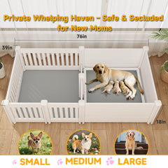 Tuxun whelping box dual-room design for dam and puppies