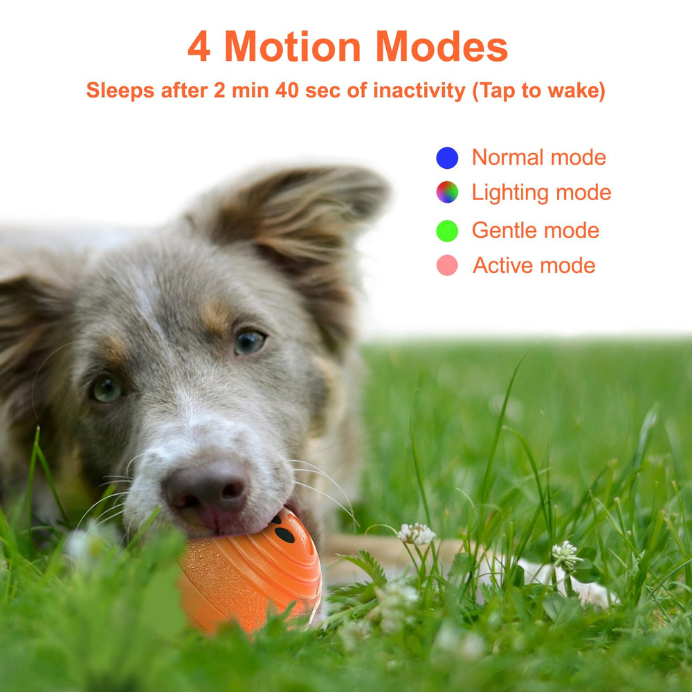 TVM Interactive Dog Ball orange durable shell withstands chewing