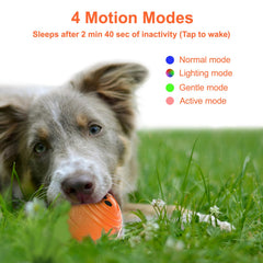 TVM Interactive Dog Ball orange durable shell withstands chewing