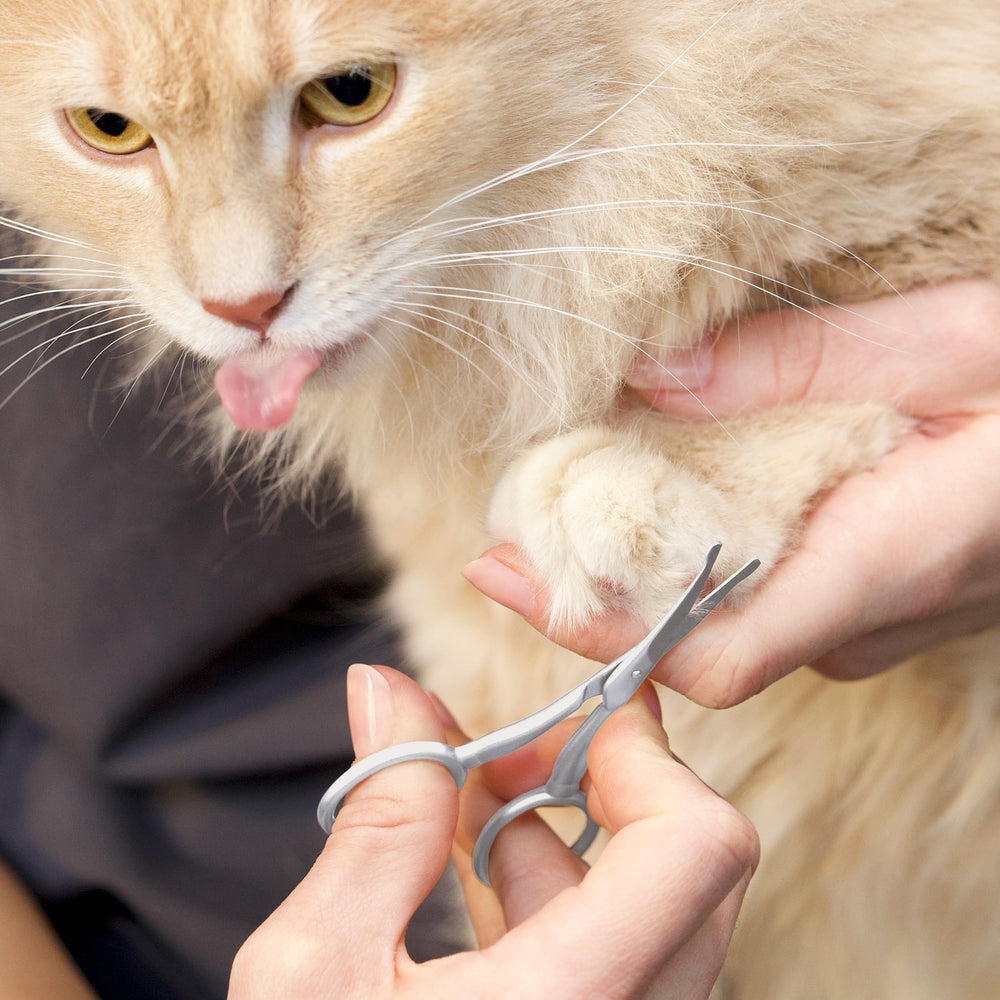 Rounded safety tips prevent nicks around eyes and ears