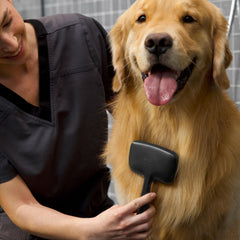 Tweezerman slicker brush with coated bristles reduces scratching on sensitive skin.