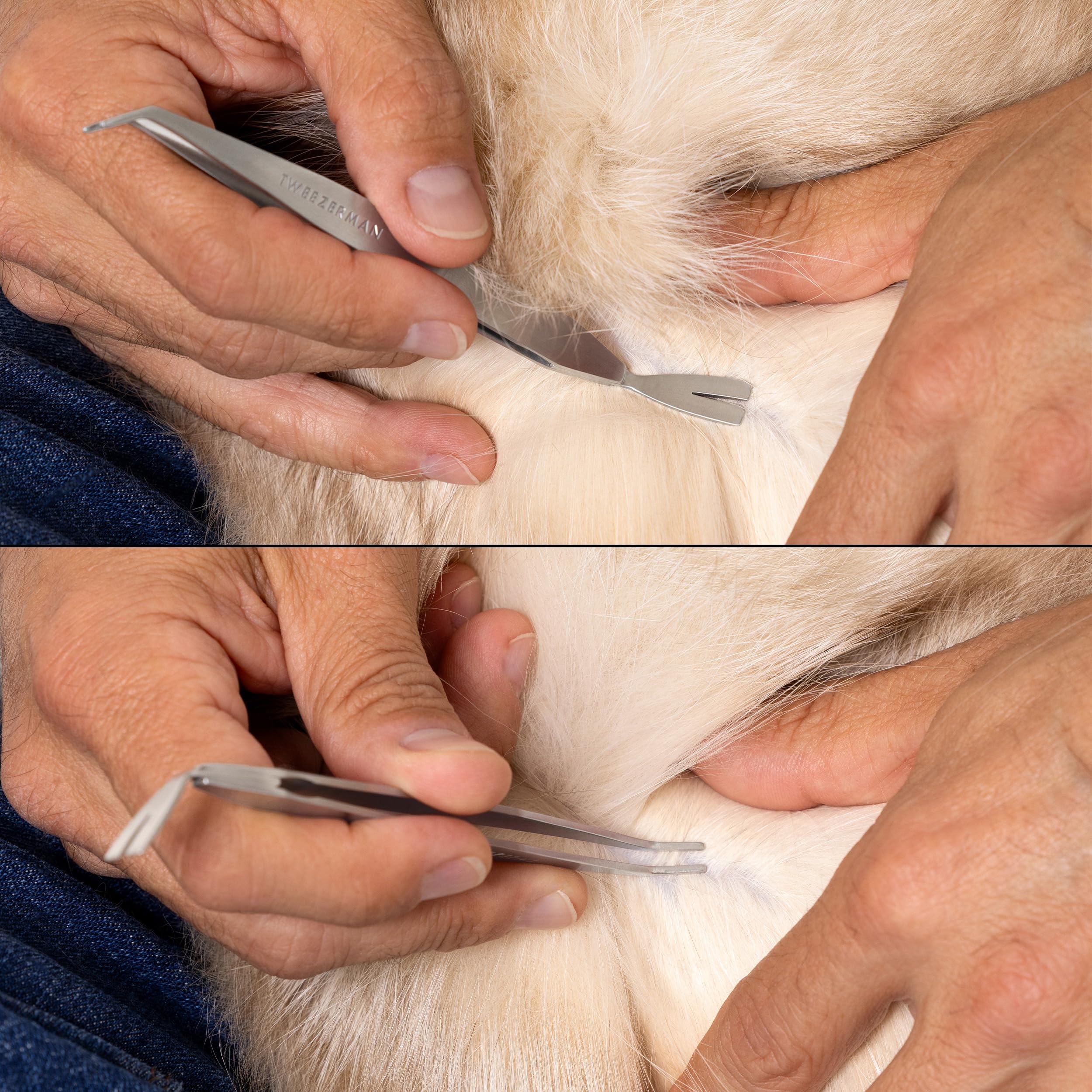 Tweezerman large tick extraction using the V-shaped end