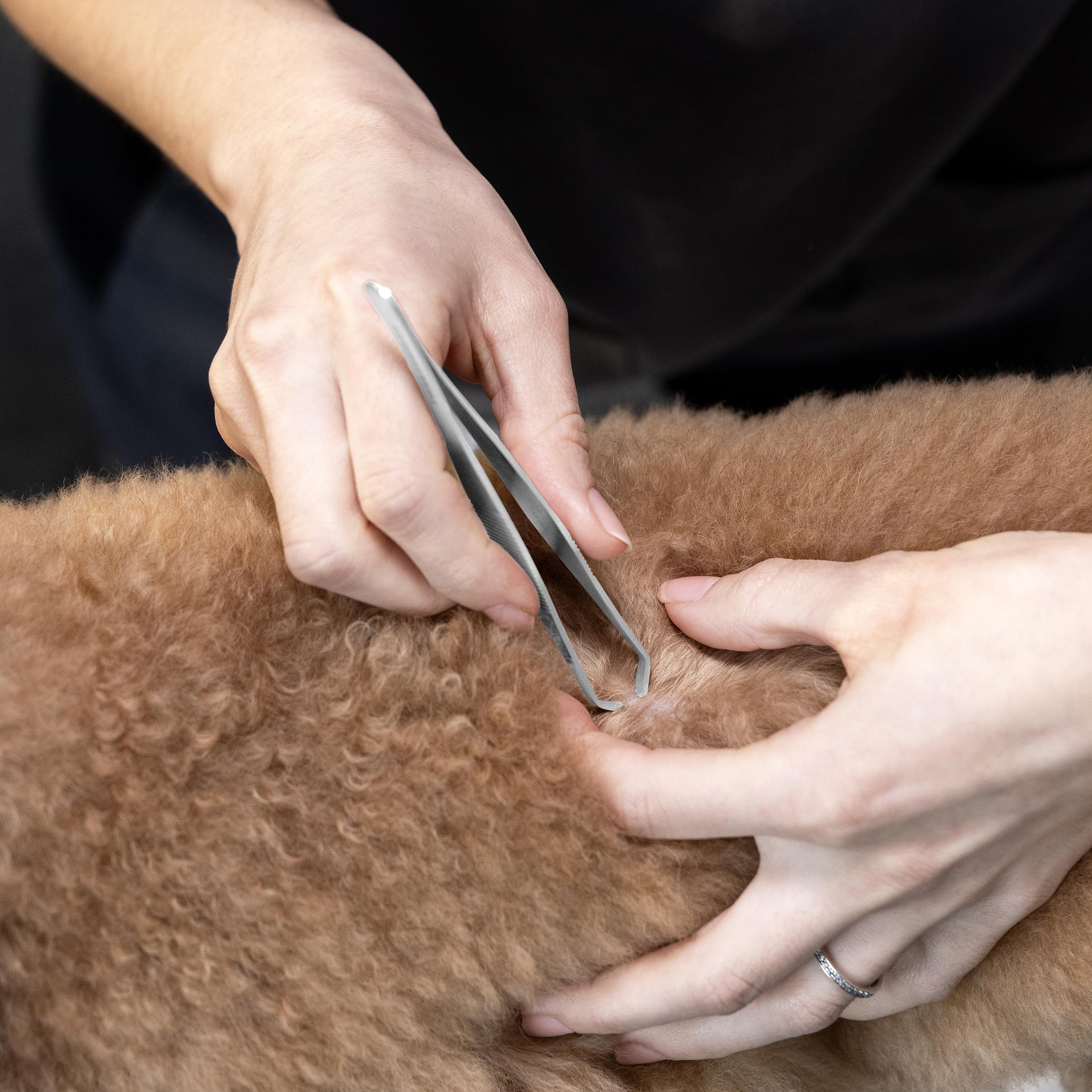 Tweezerman hand-crafted design supports reliable tick extraction
