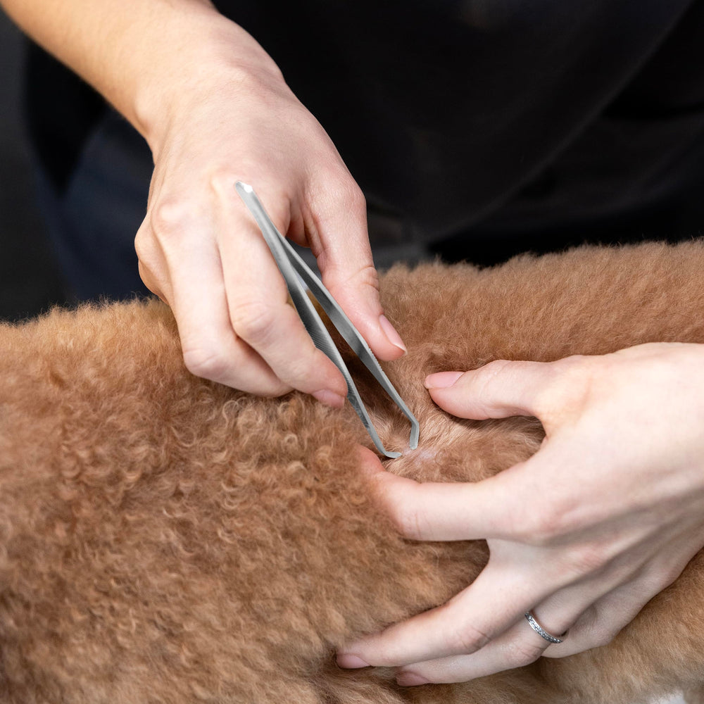 Tweezerman hand-crafted design supports reliable tick extraction