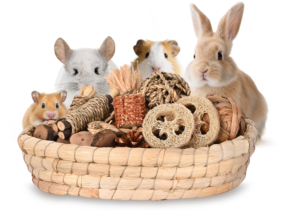 Twilumin 31PCS rabbit chew toys set showing varied natural chews for enrichment.