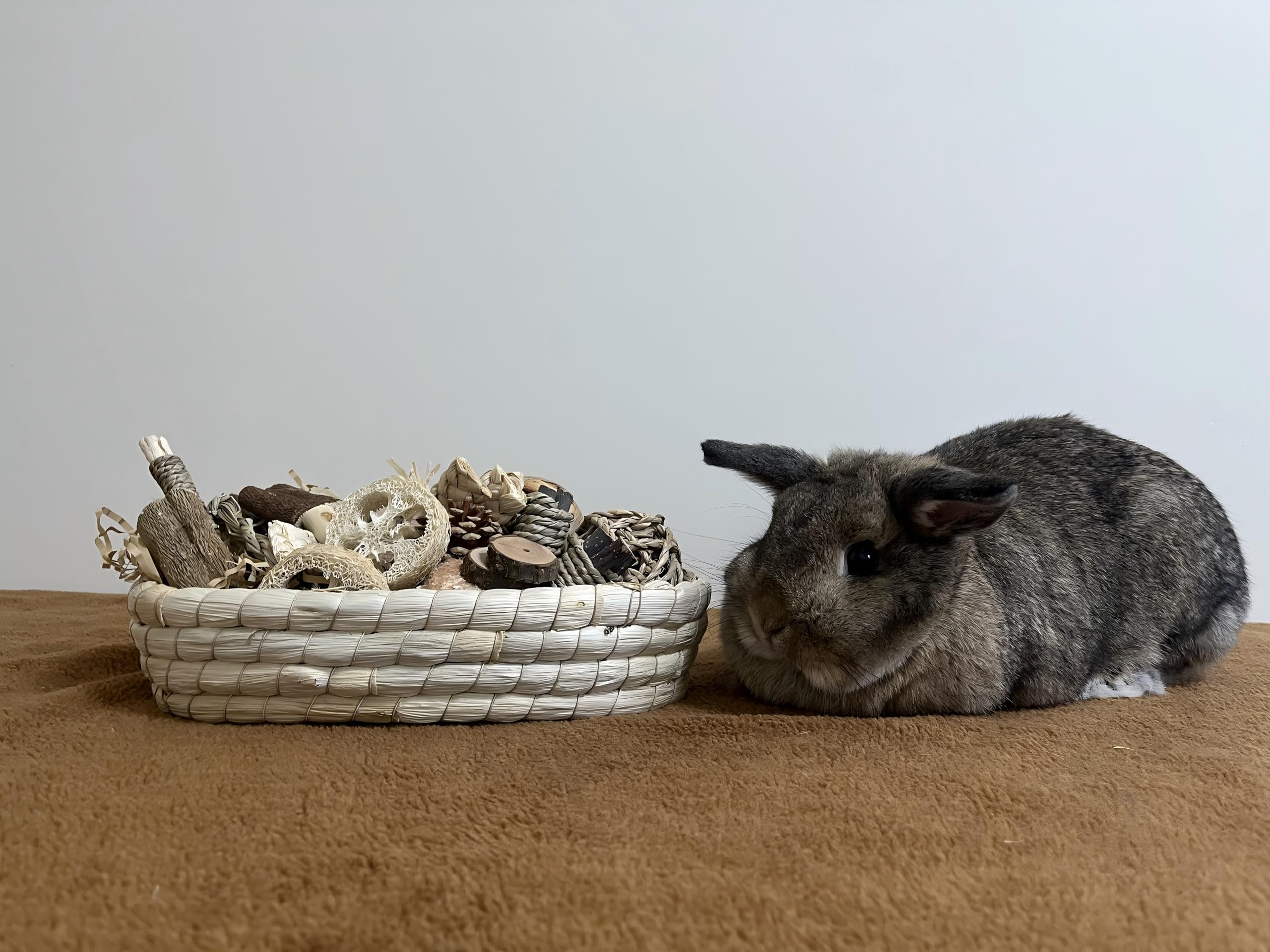 Twilumin hyacinth and seaweed balls add textured gnawing options.