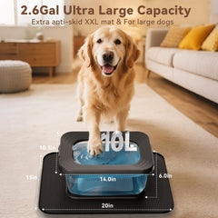 Twinsing 2.6 gal stainless steel bowl ideal for large breeds.