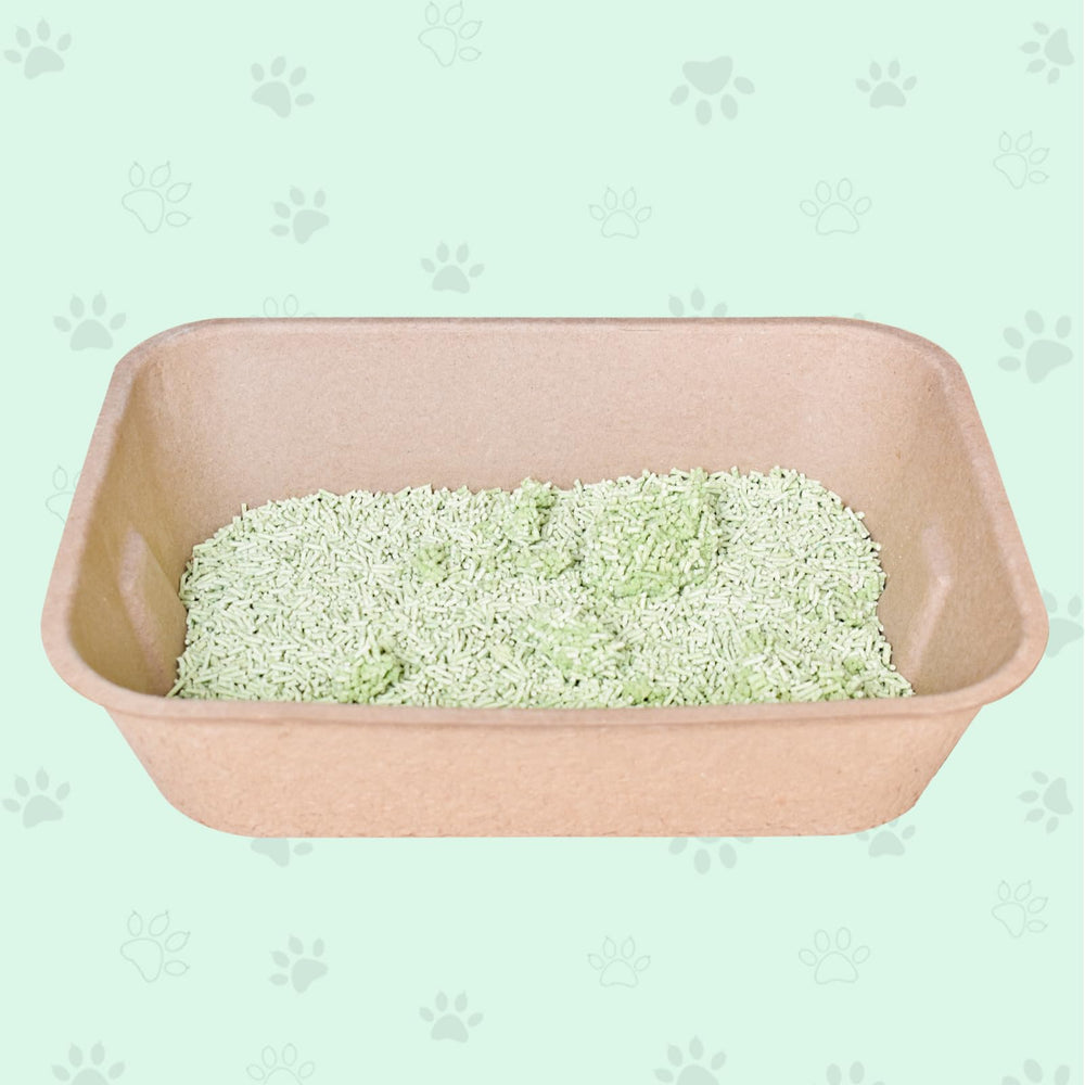 Twlead 5-in-1 litter box with towel for convenience.