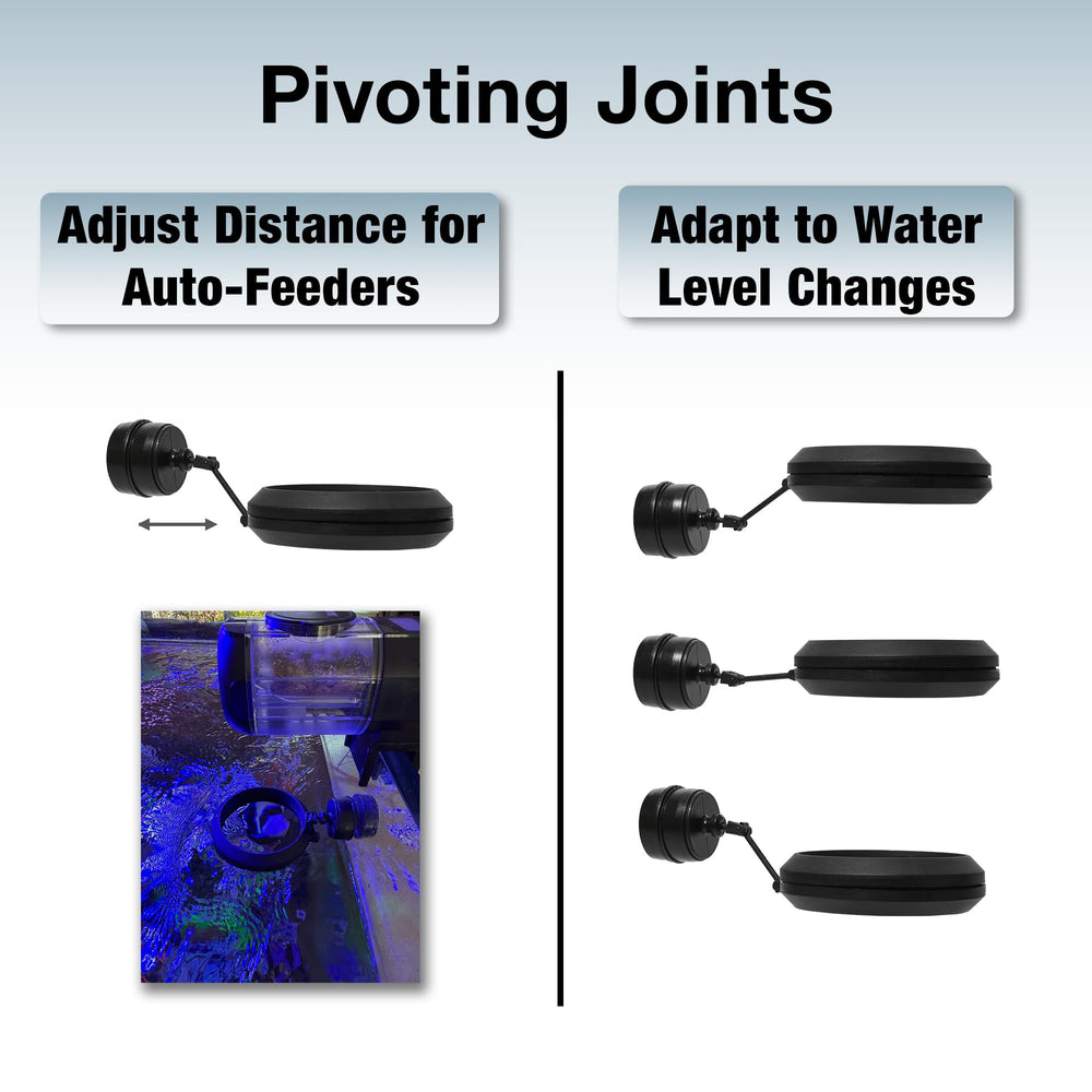 Two Little Fishies MagFeeder magnetic ring attached to glass keeps feeding tidy.