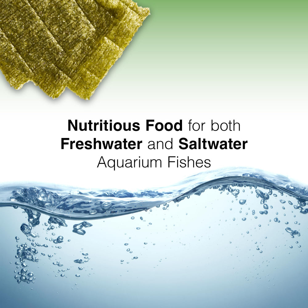Two Little Fishies Sea Veg-Green Seaweed in tank encourages natural grazing behavior.