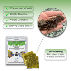Two Little Fishies Sea Veg-Green Seaweed served on a platter for herbivorous fish.