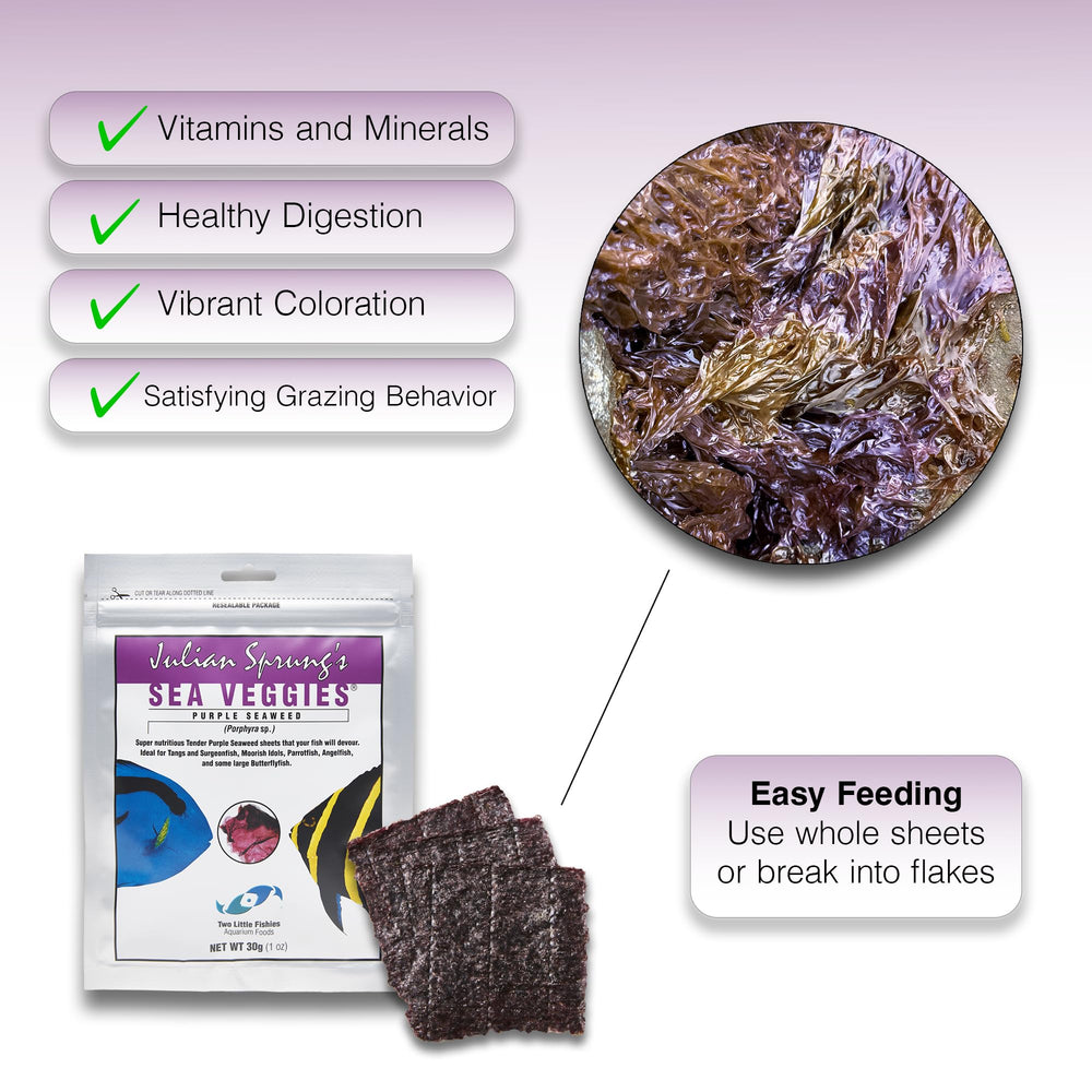 Two Little Fishies Sea Veg-Purple Seaweed close-up reveals natural purple seaweed for herbivores.