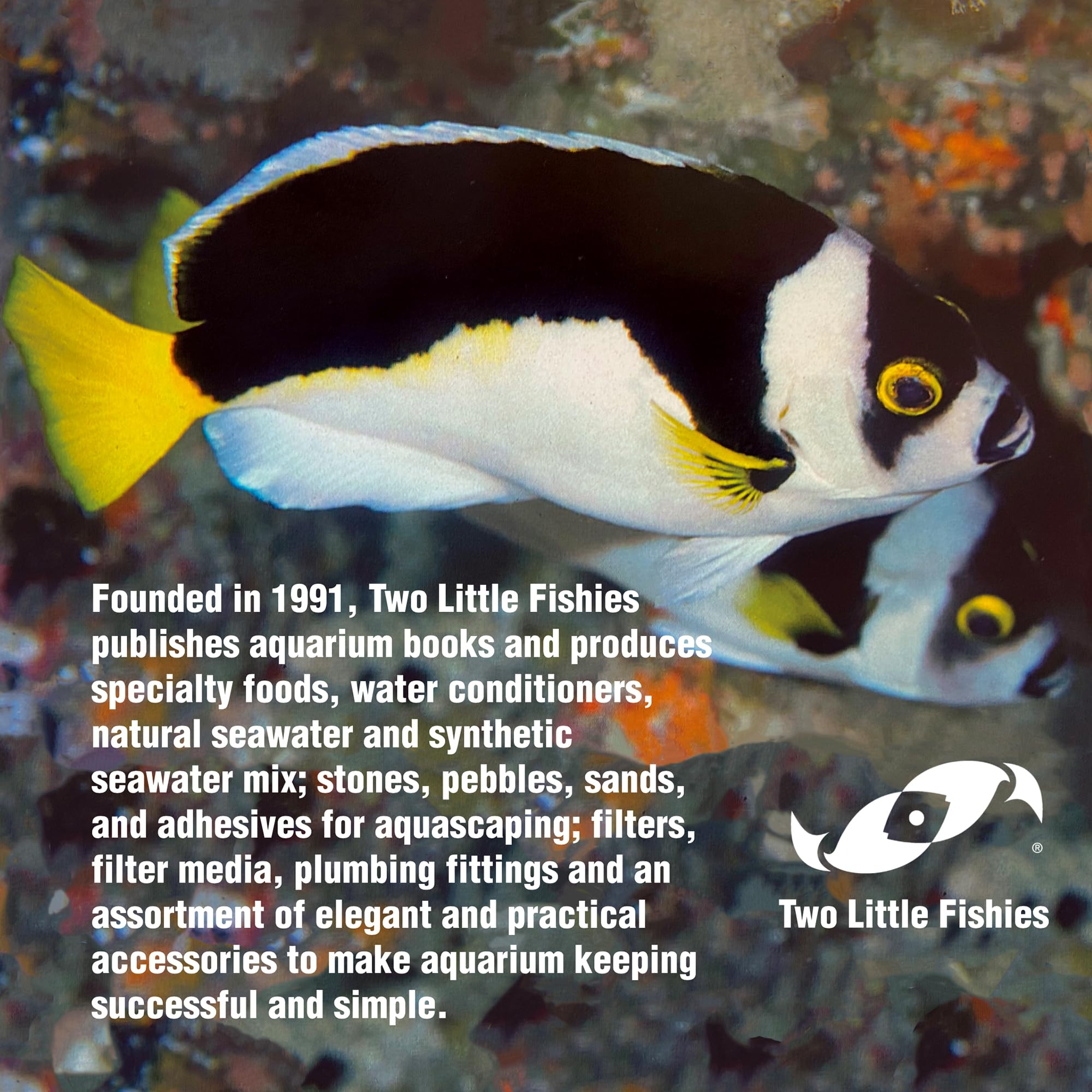 Two Little Fishies Sea Veg-Purple Seaweed provides nutritious forage for reef herbivores.