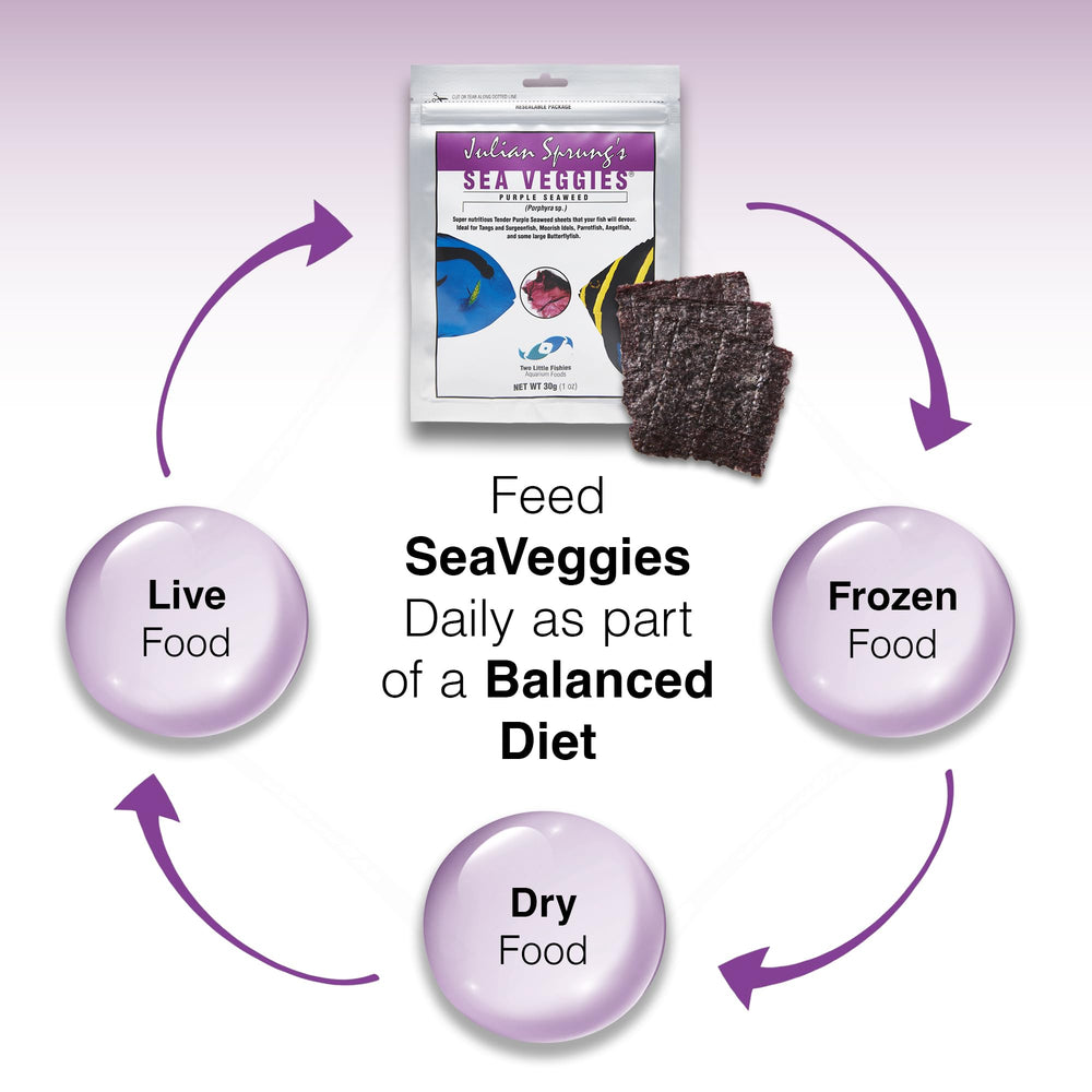 Two Little Fishies Sea Veg-Purple Seaweed packaging detail shows the sealed 1-ounce pouch.