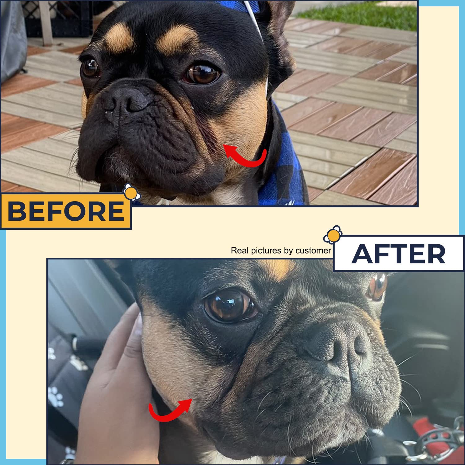 Two Pets and a Half bulldog paw-nose balm hydrates dry skin.