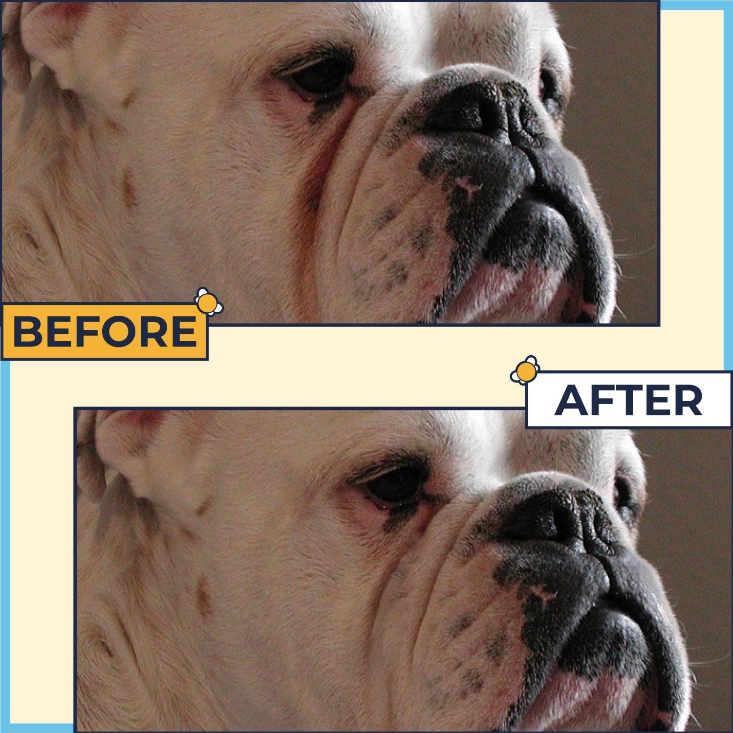 Two Pets and a Half wrinkle wipes 50 per pack used to clean folds