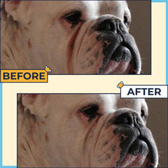 Two Pets and a Half wrinkle wipes 50 per pack used to clean folds