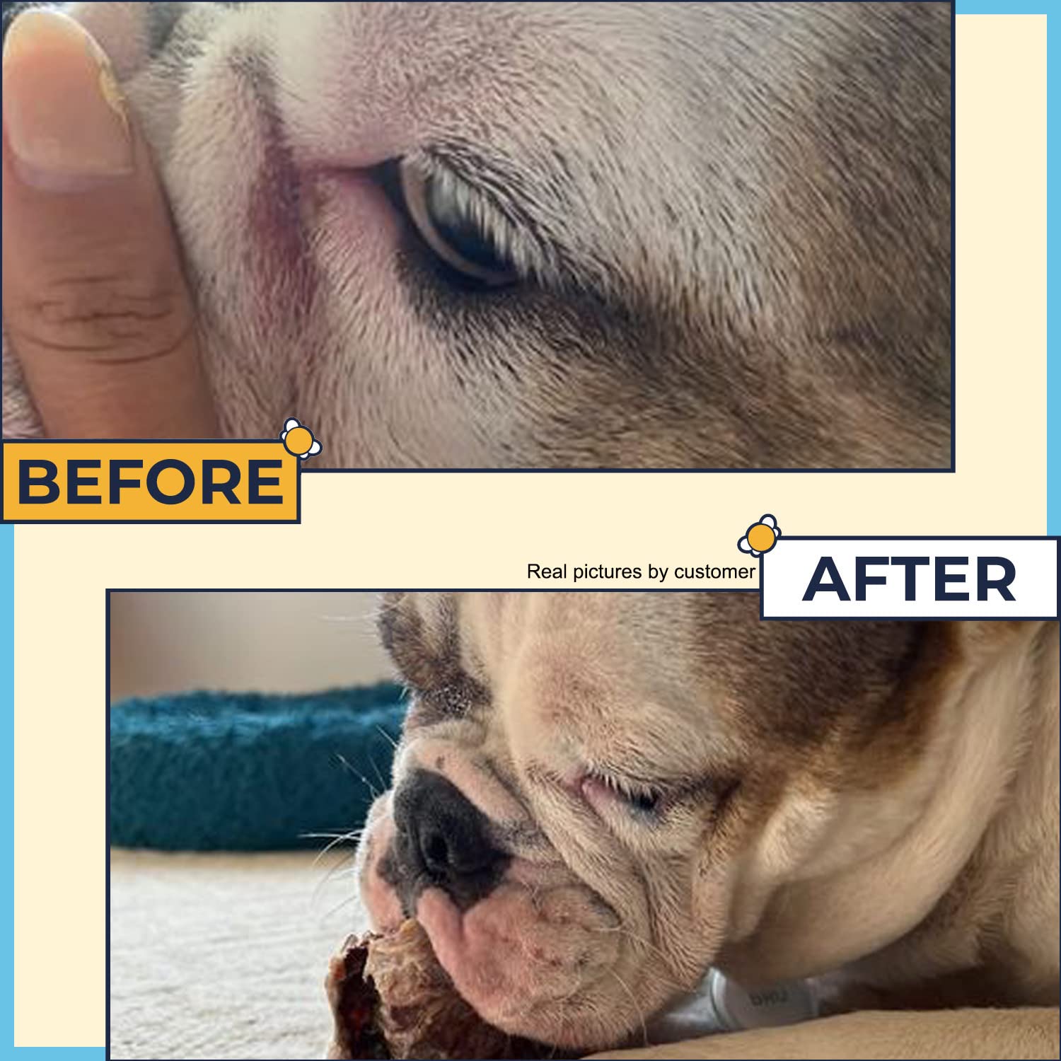 Two Pets and a Half wrinkle wipes, gunk removal in skin folds.
