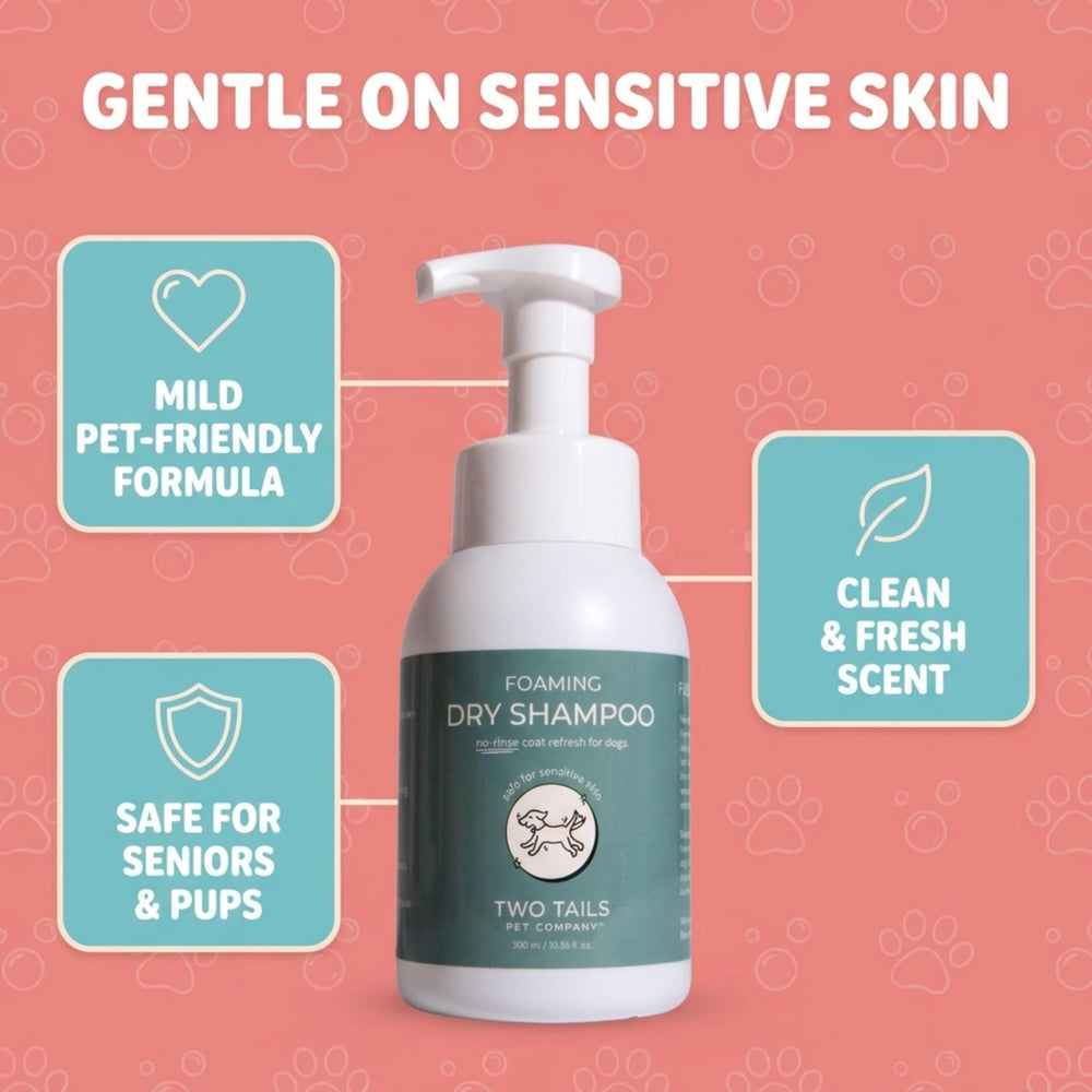 Two Tails Soft Coat Foaming Coverage demonstrates even distribution for smooth fur.