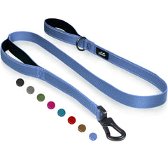 TwoEar 6ft leash with dual padded handles for comfortable daily walks
