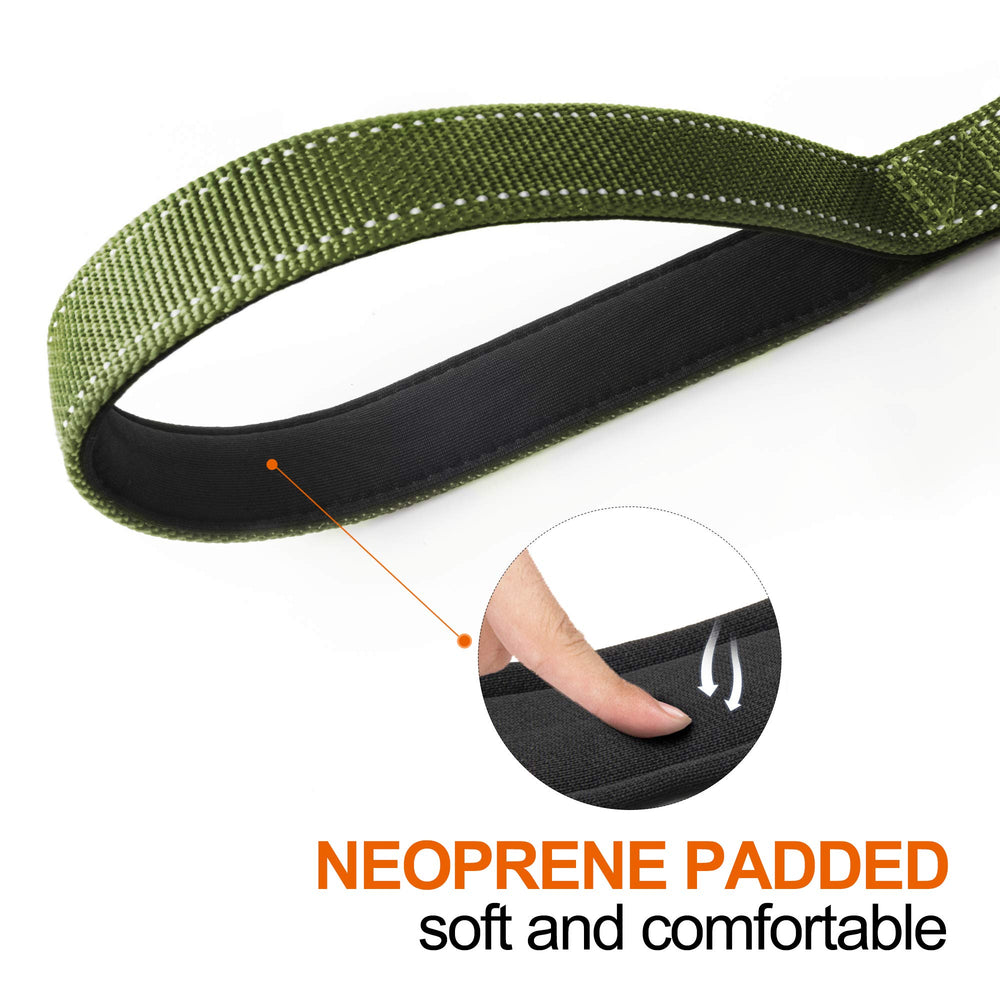 TwoEar leash demonstrates reflective stitching for night-time visibility.