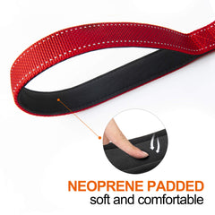TwoEar leash featuring auto-lock hook for quick secure attachment.