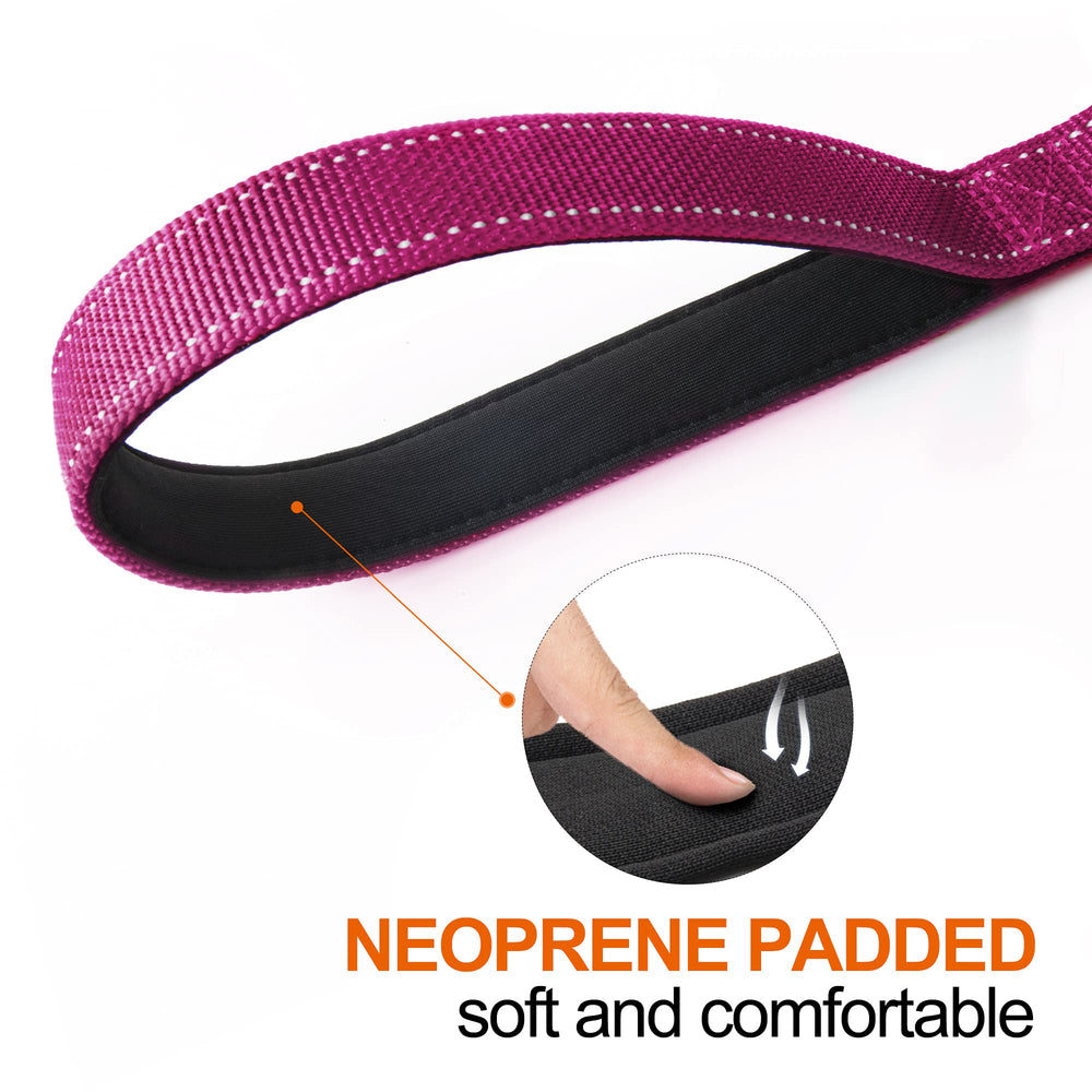 TwoEar auto-lock rose leash clip prevents tangling during walks.