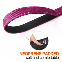 TwoEar auto-lock rose leash clip prevents tangling during walks.