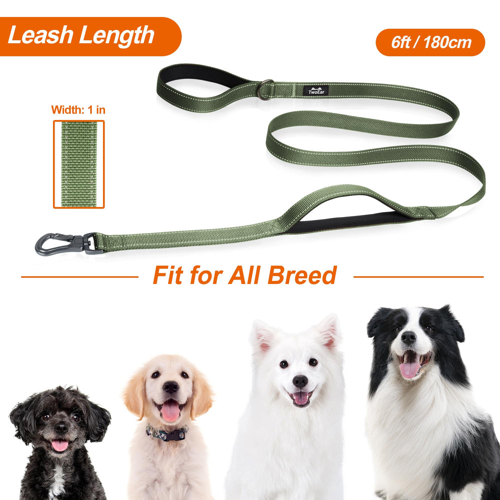 TwoEar versatile leash ideal for walking, training, and outdoor adventures.