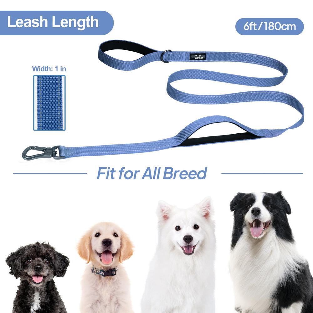 TwoEar leash featuring a D-ring for accessories like waste bag dispensers