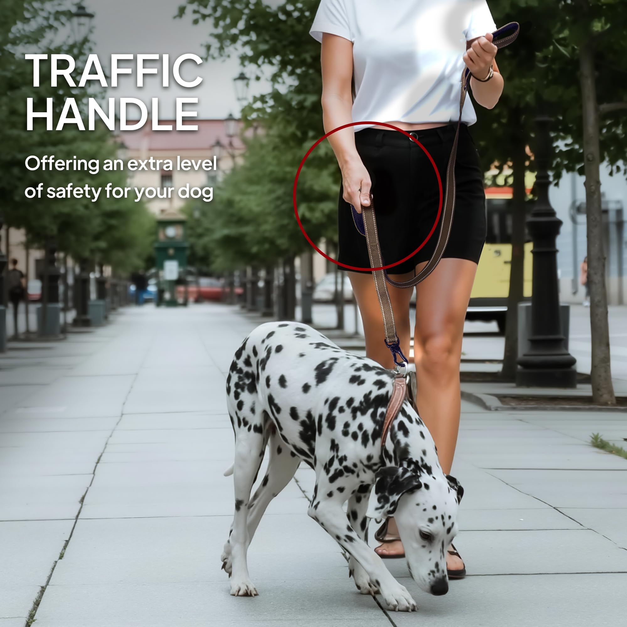 TwoEar leash with D-ring for waste bags or keys.