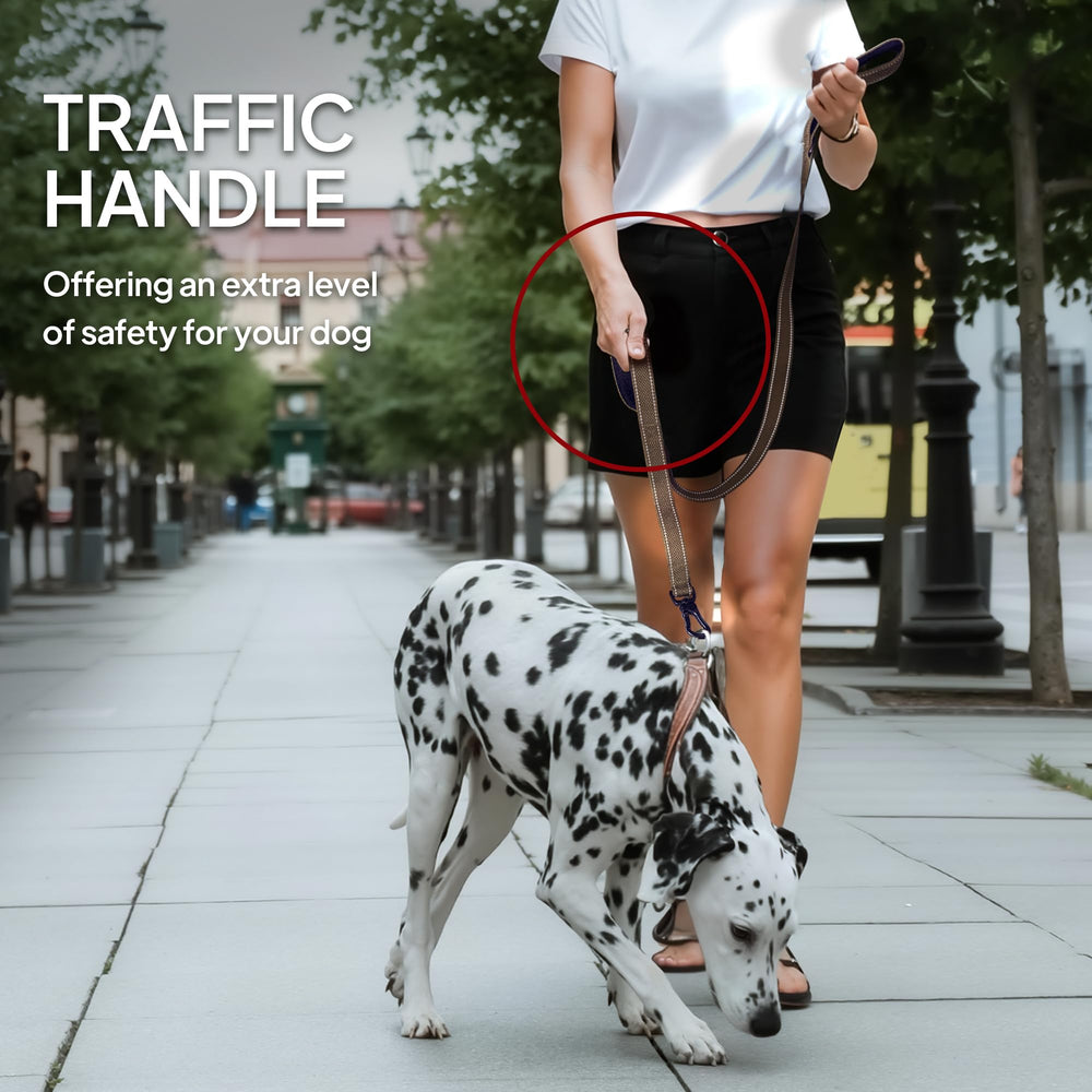 TwoEar leash with D-ring for waste bags or keys.