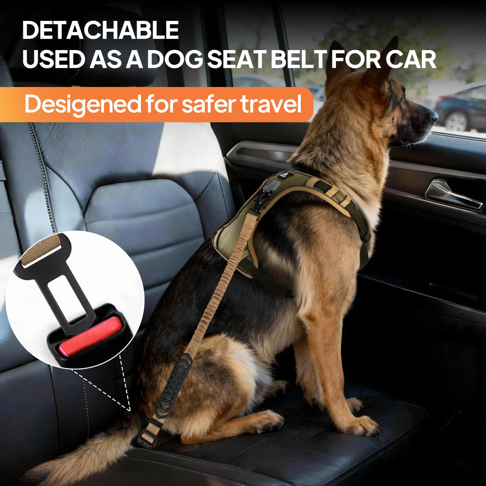 Seatbelt clip integrated for secure dog restraint in cars
