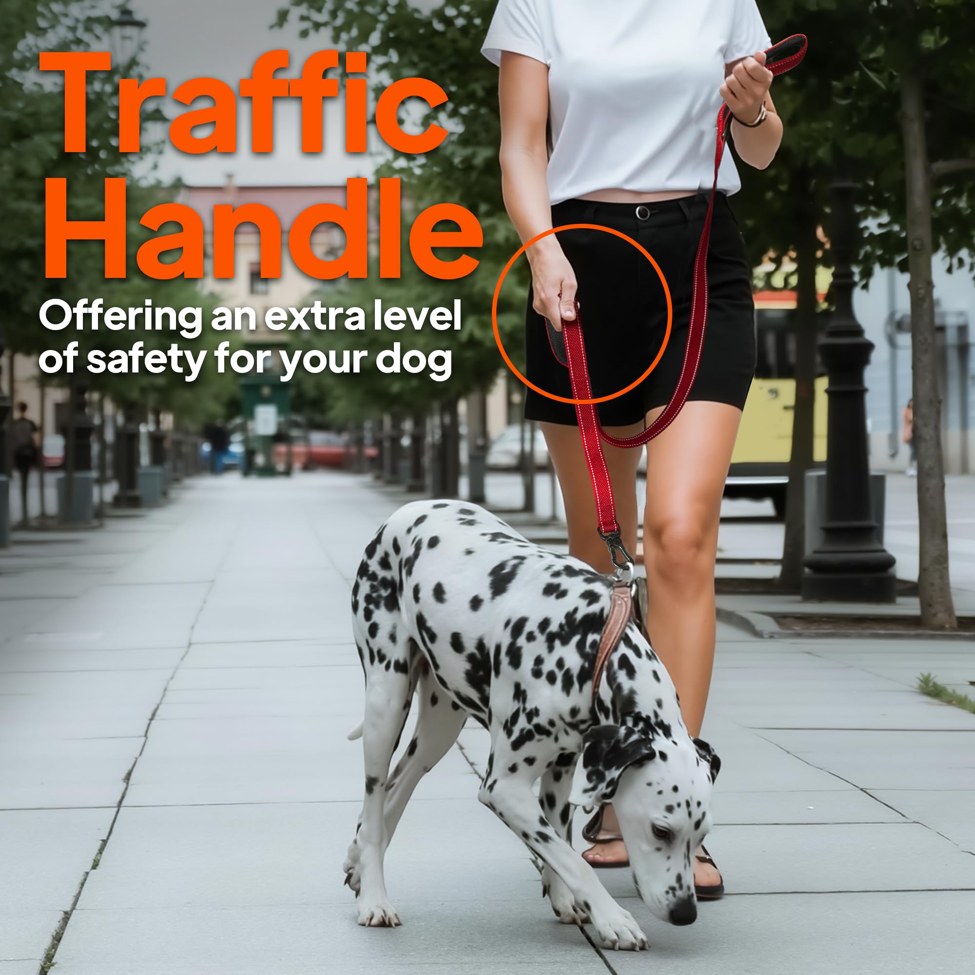 TwoEar leash features a D-ring for waste bag dispenser or keys.