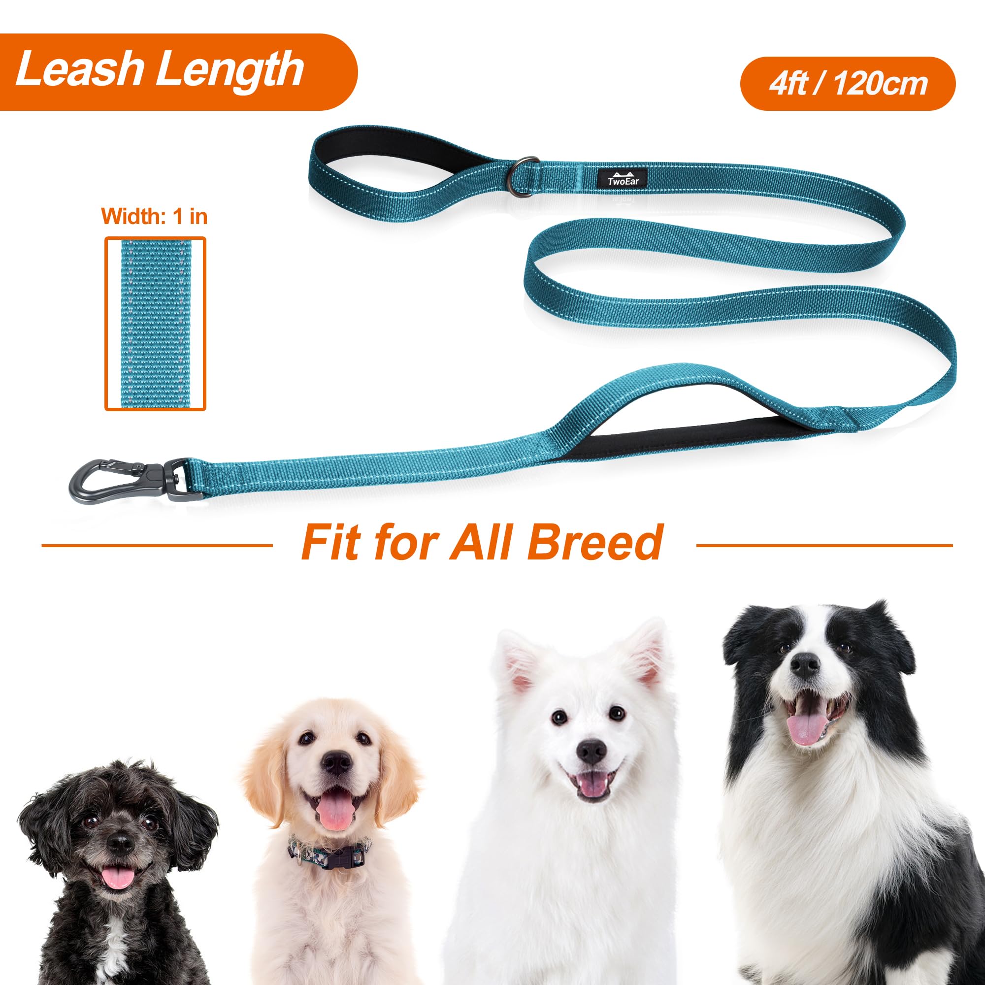 TwoEar leash suitable for small, medium, and large dogs for versatile use.