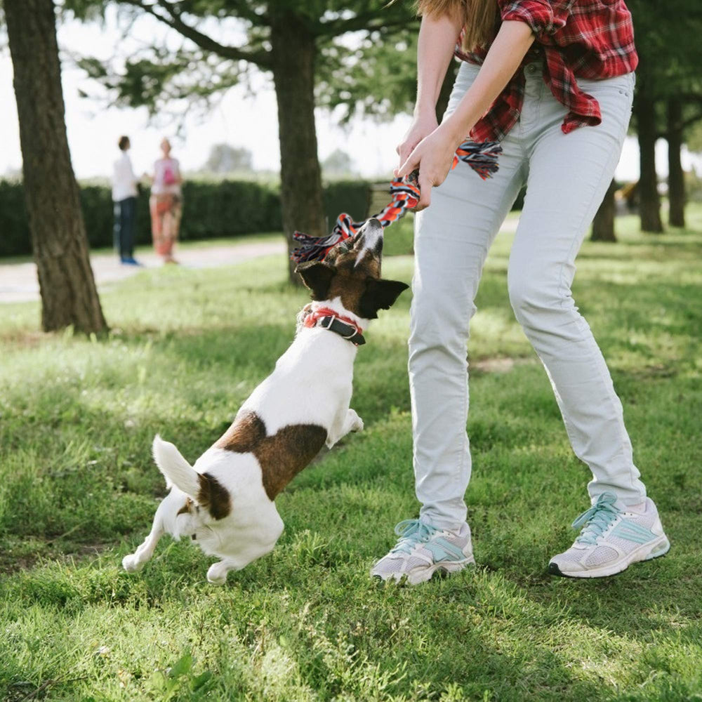 TwoEar chew toys can redirect destructive chewing toward safe engaging fun.