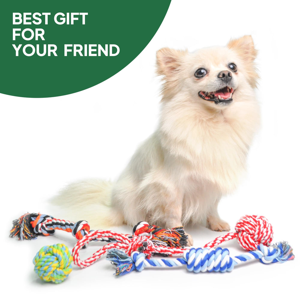 TwoEar fetch rope bone toy enhances gripping and retrieving play.