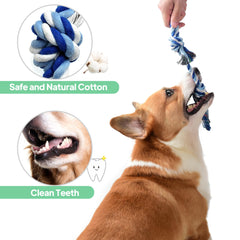 TwoEar teething rope toy helps soothe puppies during gnawing and teething play.